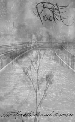 Percht : The Aftermath of a Velvet Season